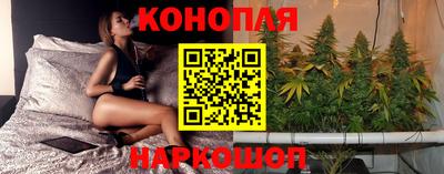 дмт Ставрополь